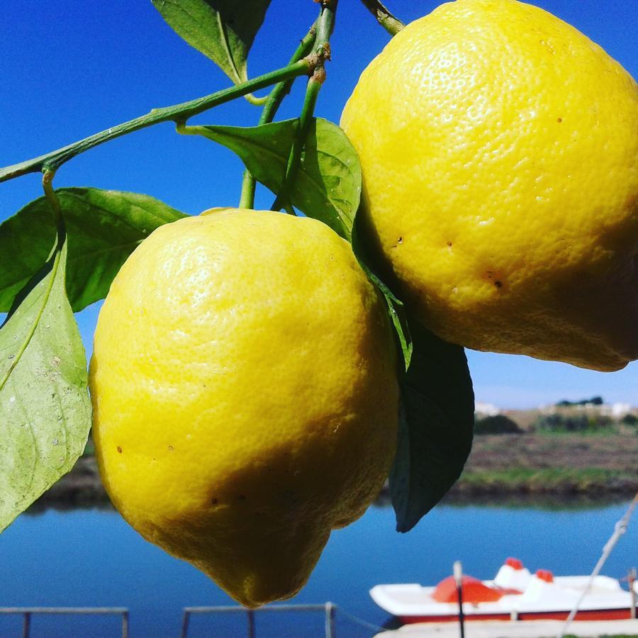 Torre Del Lago Foce Varano Eksteriør billede